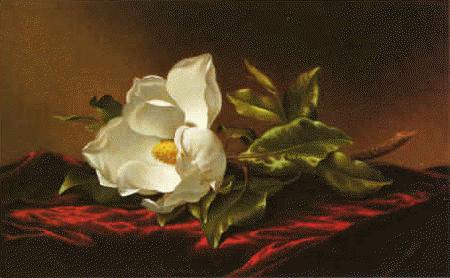 Martin Johnson Heade Magnolia f